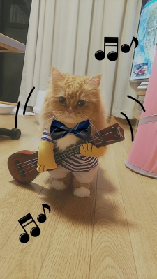 CYMERA_20170913_055144.jpg