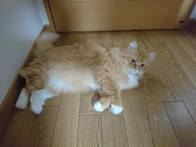 DSC_0123.jpg