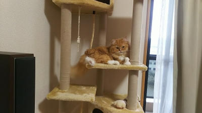 DSC_2584.jpg