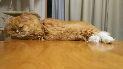 DSC_2640.jpg