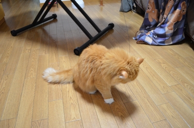 NIK_3364.JPG