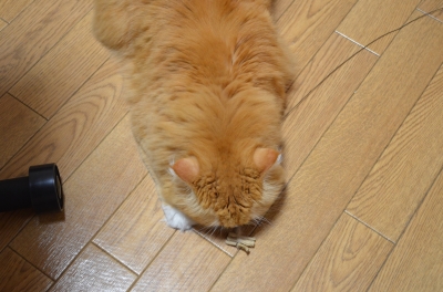 NIK_3357.JPG