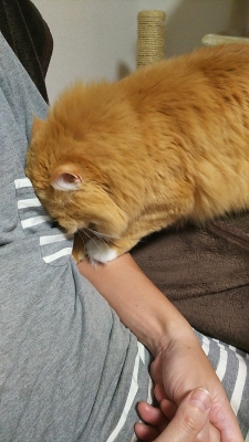 DSC_2826.jpg