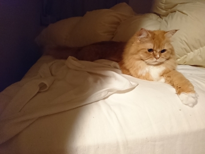 DSC_0423.jpg