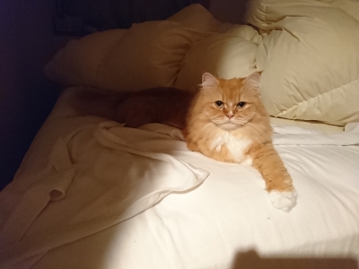 DSC_0418.jpg