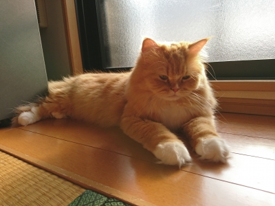 DSC_0499.jpg