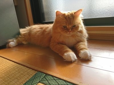 DSC_0496.jpg
