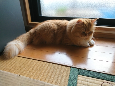 DSC_0488.jpg
