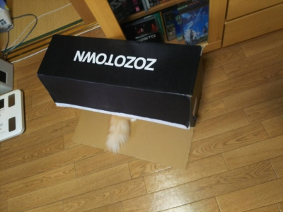 21589.jpg