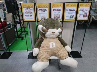 DSC_0593.jpg