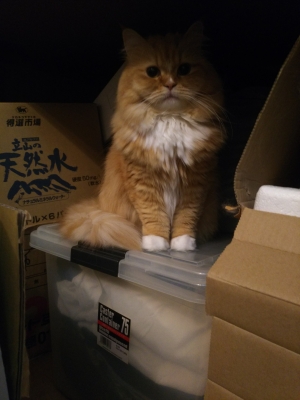 DSC_2943.jpg