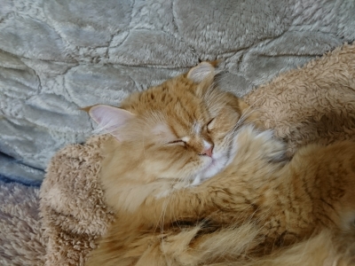 DSC_0699.jpg