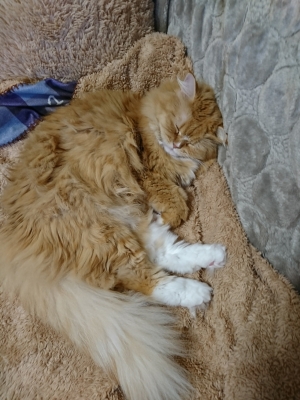 DSC_0695.jpg