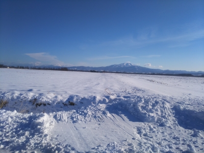 DSC_3037.jpg