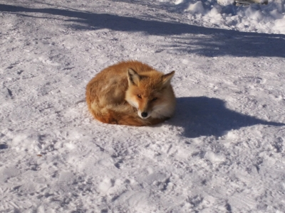 DSC_3042.jpg