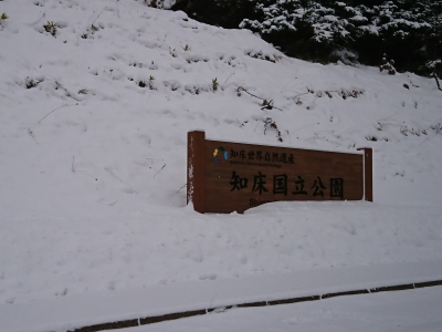 DSC_0771.jpg