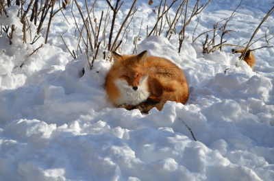 NIK_3479.JPG
