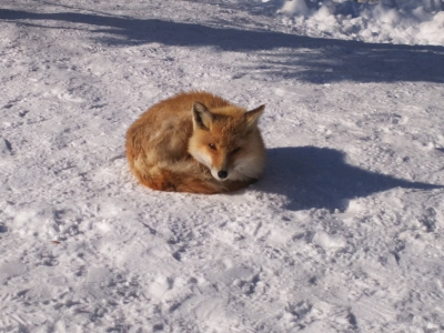 DSC_3043.jpg