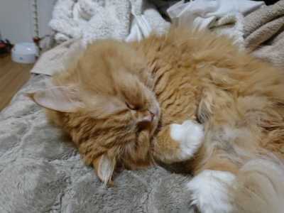 DSC_0912.jpg