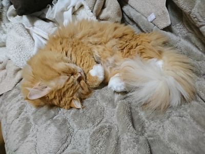 DSC_0909.jpg
