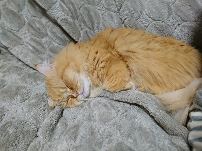 DSC_1001.jpg