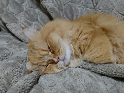 DSC_0999.jpg