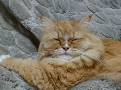 DSC_0991.jpg