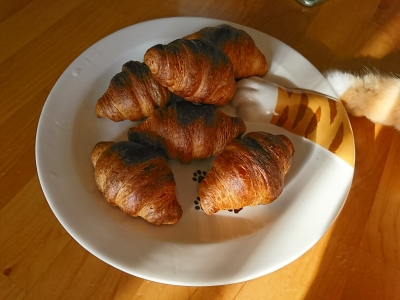 DSC_1037 (2).jpg