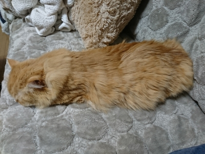 DSC_1071.jpg