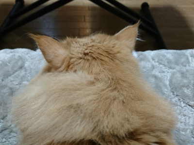 DSC_1074.jpg