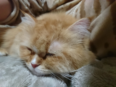 DSC_0851.jpg