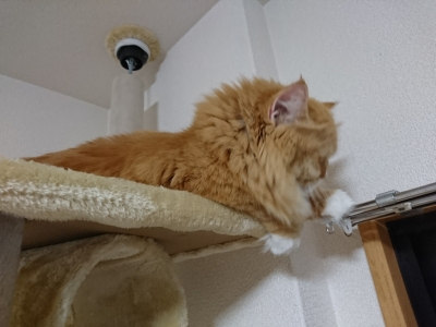 DSC_1075.jpg
