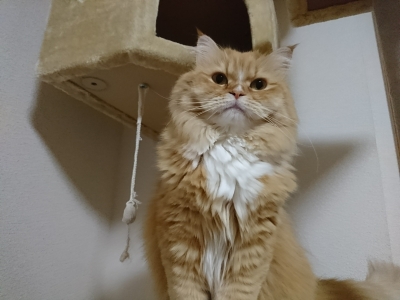 DSC_1097.jpg