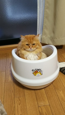 DSC_0014.jpg