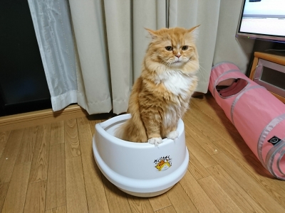 DSC_1217.jpg