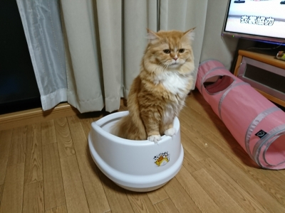 DSC_1216.jpg