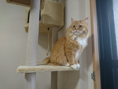 DSC_1235.jpg