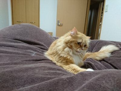 DSC_1278.jpg