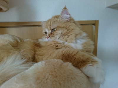 DSC_1364.jpg