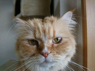 DSC_1376.jpg