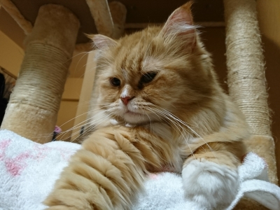 DSC_1482.jpg