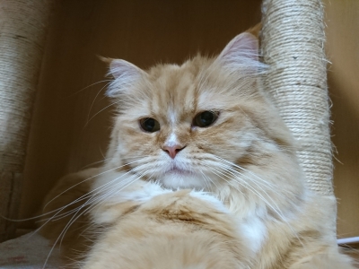 DSC_1503.jpg