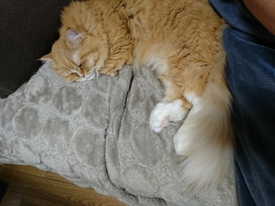 DSC_1512.jpg