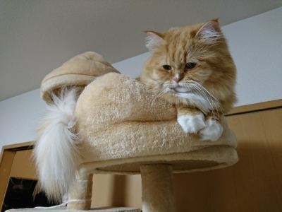 DSC_1561.jpg