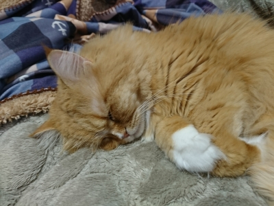 DSC_1588.jpg
