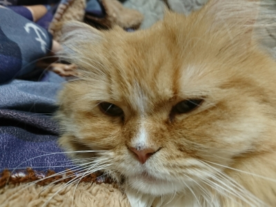 DSC_1592.jpg