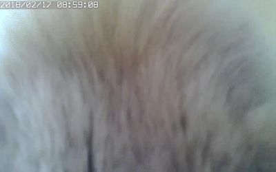 085910.png