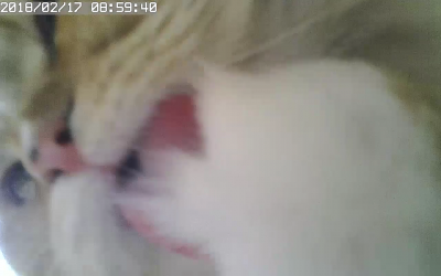 085942.png