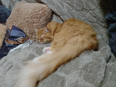 DSC_1630.jpg
