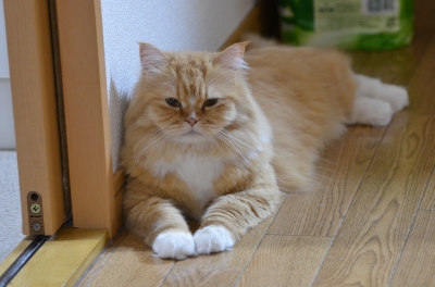 NIK_3599.JPG